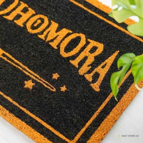 Wycieraczka harry potter alohomora