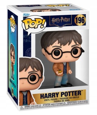 Funko Pop! Harry Potter 196