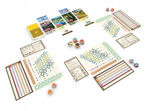 Gra planszowa Kaskadia: Wzgórza - gra Lucky Duck Games