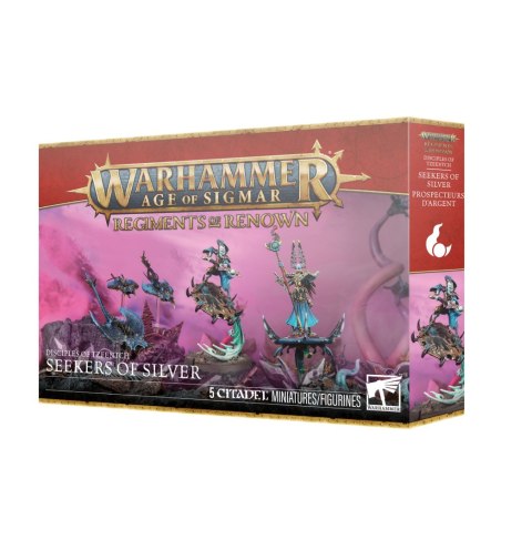 WARHAMMER AOS - DISCIPLES OF TZEENTCH SEEKERS OF SILVER
