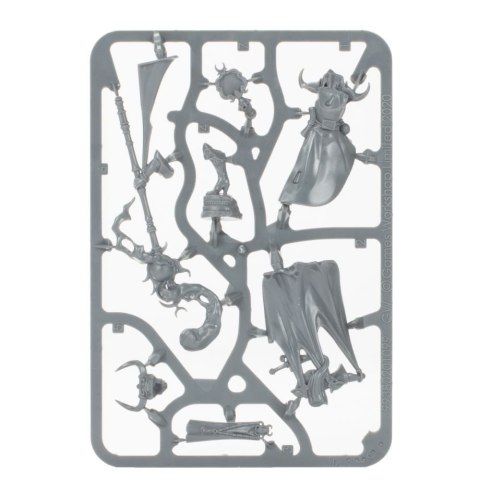 Warhammer Age of Sigmar Shardspeaker Of Slaanesh