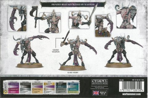 Warhammer Age of Sigmar Slaangor Fiendbloods | Hedonites Of Slaanesh