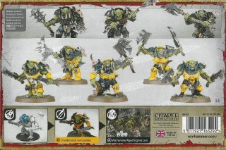 Warhammer Age of Sigmar Orruk Warclans: Orruk Brutes Games Workshop